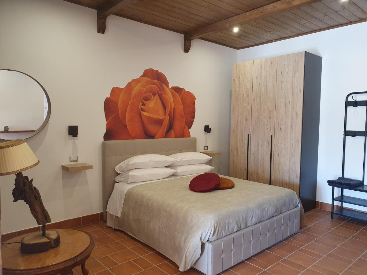 Setteabbracci Suite & Apartments بارونيسي المظهر الخارجي الصورة